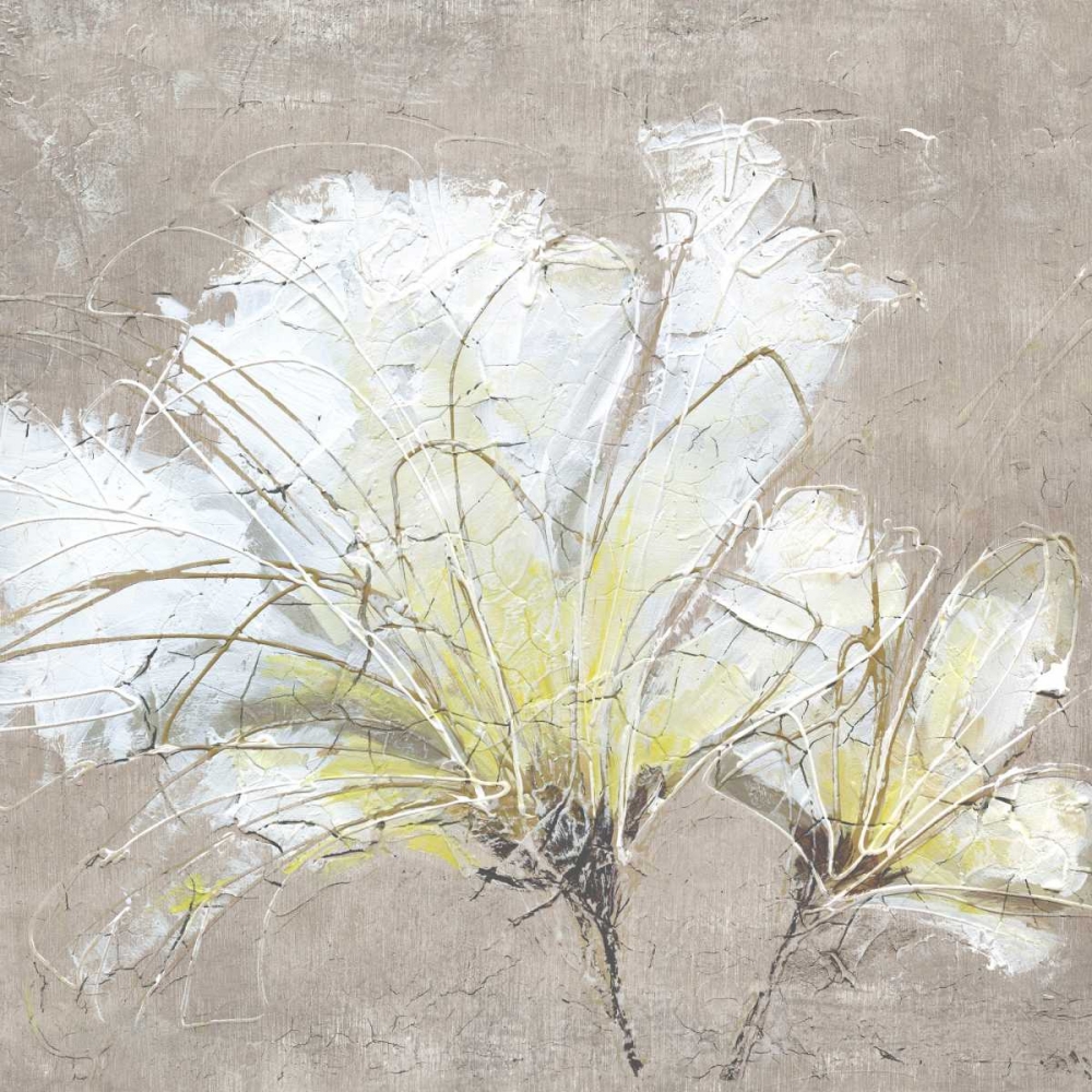 White Flowers II art print by Wendy Kroeker for $57.95 CAD