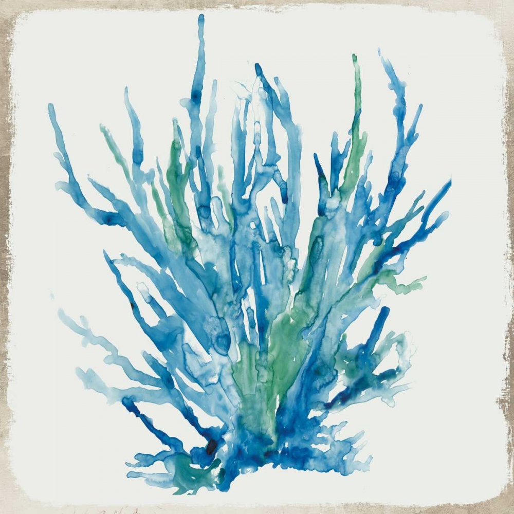 Blue Coral II art print by Aimee Wilson for $57.95 CAD