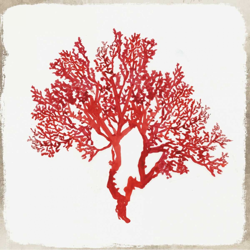 Red Coral II art print by Aimee Wilson for $57.95 CAD