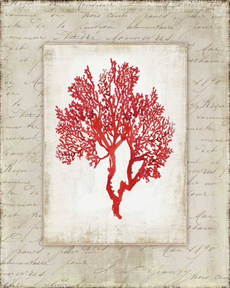 Red Coral II  art print by Aimee Wilson for $57.95 CAD