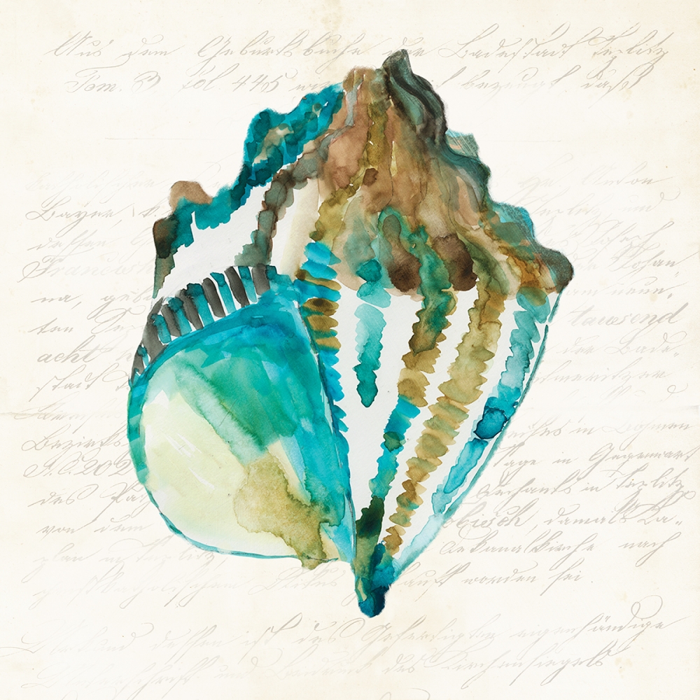 Shell art print by Aimee Wilson for $57.95 CAD