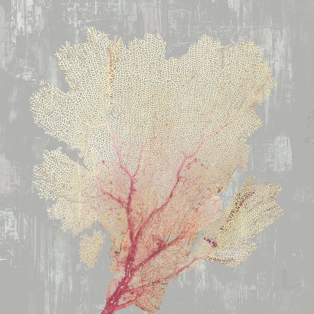 Blush Coral II art print by Aimee Wilson for $57.95 CAD