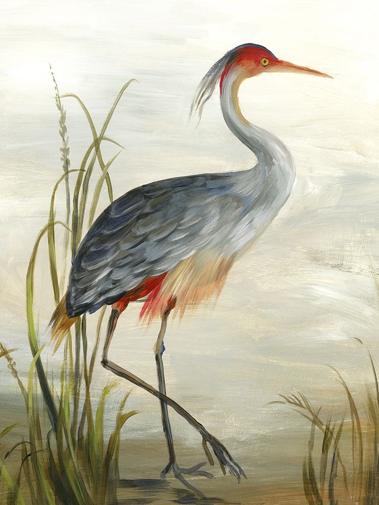 Grey Heron art print by Aimee Wilson for $57.95 CAD
