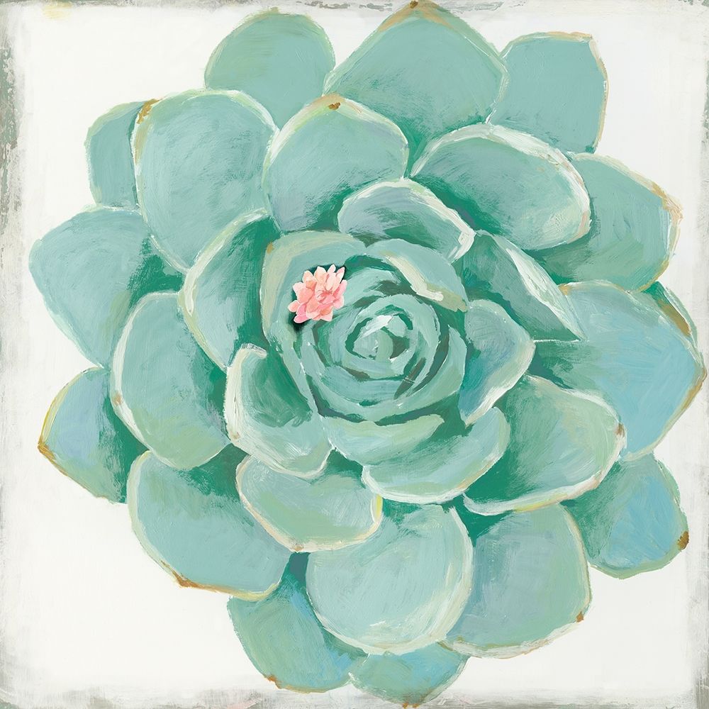 Pastel Succulent I art print by Aimee Wilson for $57.95 CAD