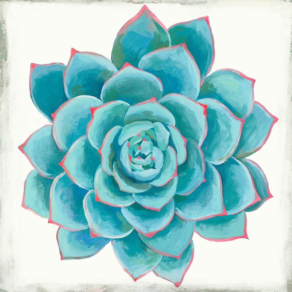 Pastel Succulent II art print by Aimee Wilson for $57.95 CAD