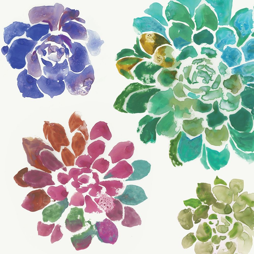 Water Succulents II  art print by Aimee Wilson for $57.95 CAD