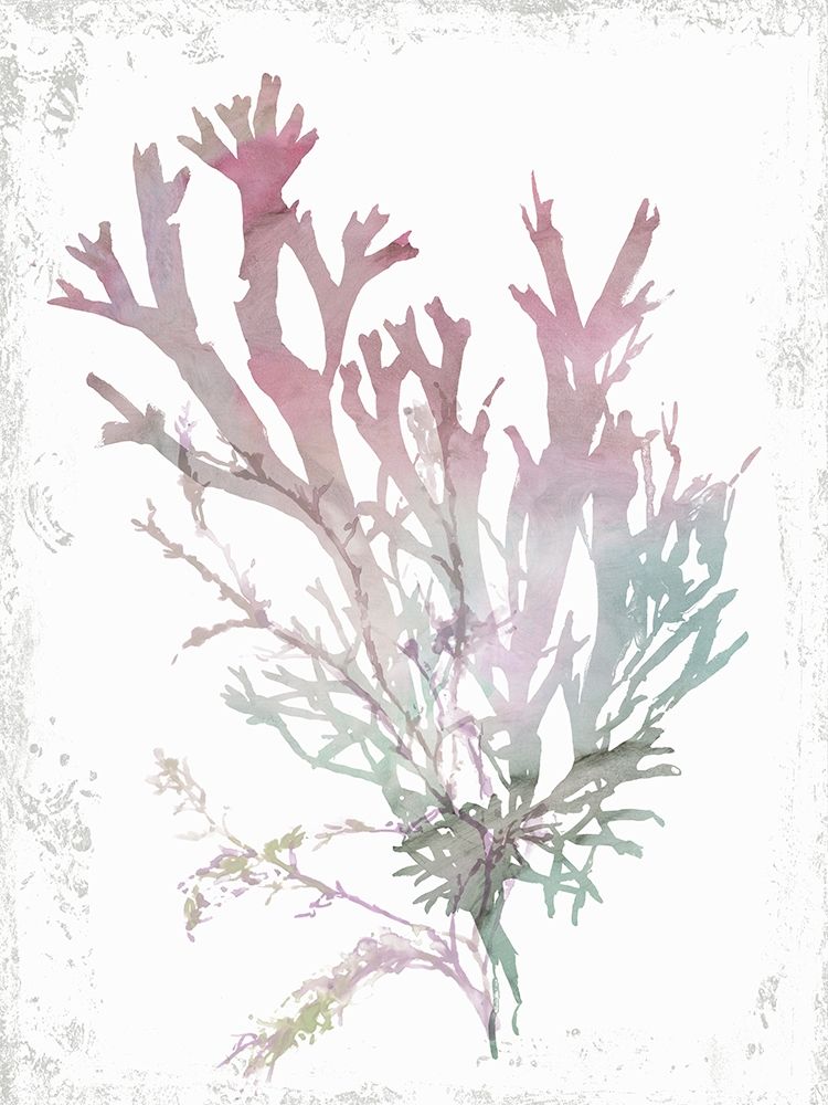 Pink Coral  art print by Aimee Wilson for $57.95 CAD