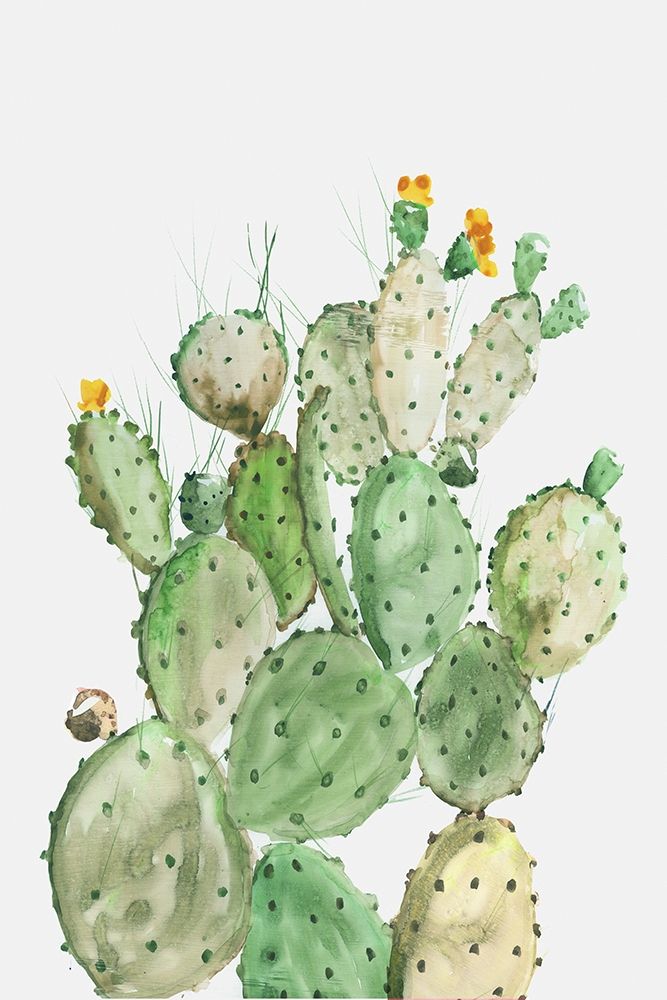Sunny Cactus  art print by Aimee Wilson for $57.95 CAD