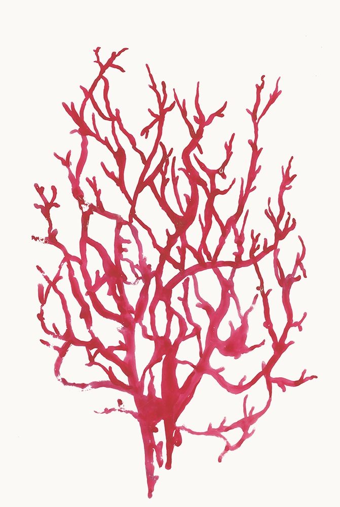Red Reef Coral I  art print by Aimee Wilson for $57.95 CAD