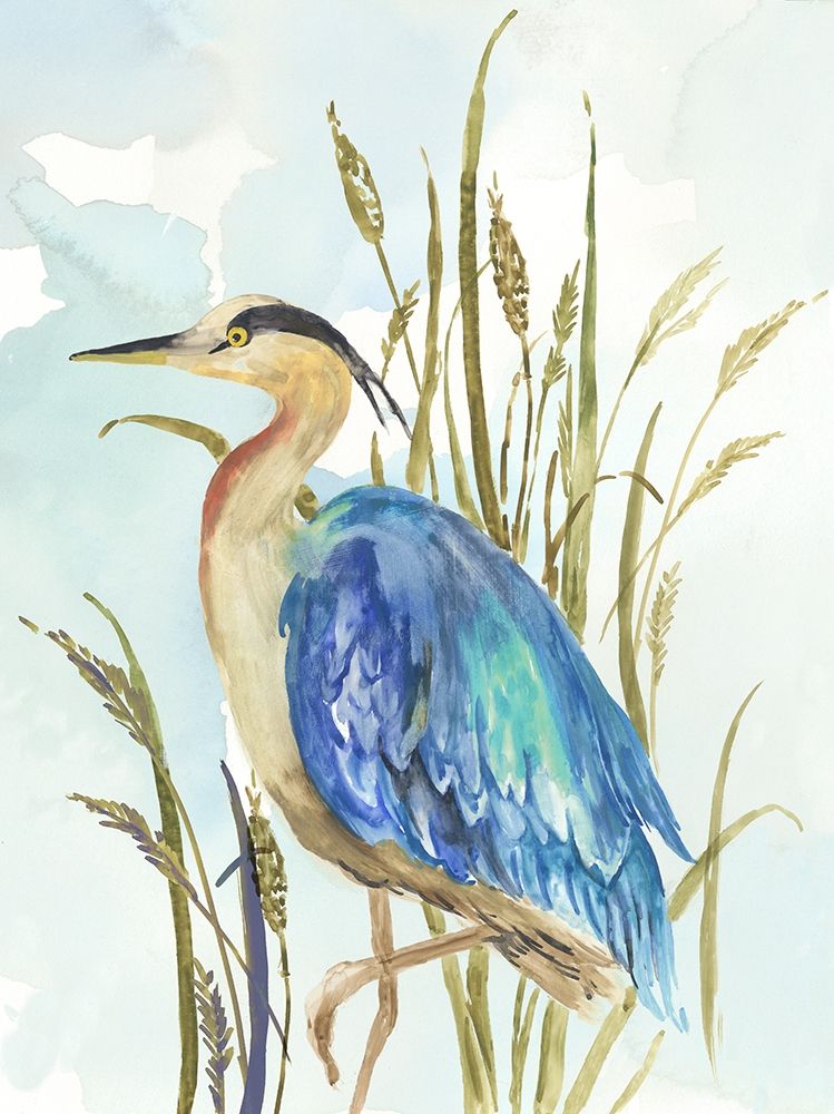Little Blue Heron art print by Aimee Wilson for $57.95 CAD