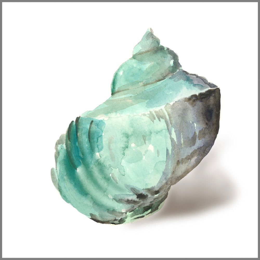 Shell in Mint  art print by Aimee Wilson for $57.95 CAD