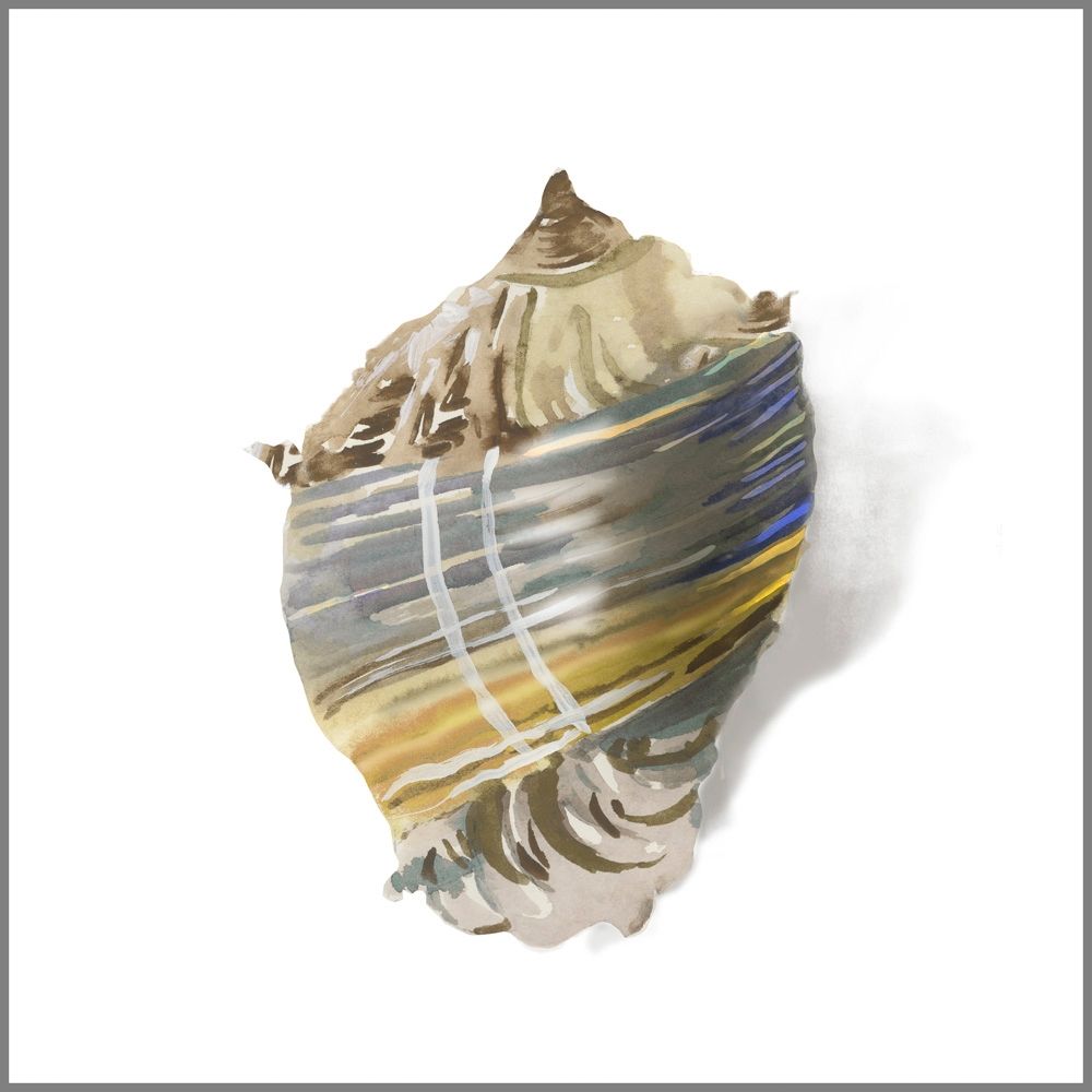 Shell Ashore  art print by Aimee Wilson for $57.95 CAD