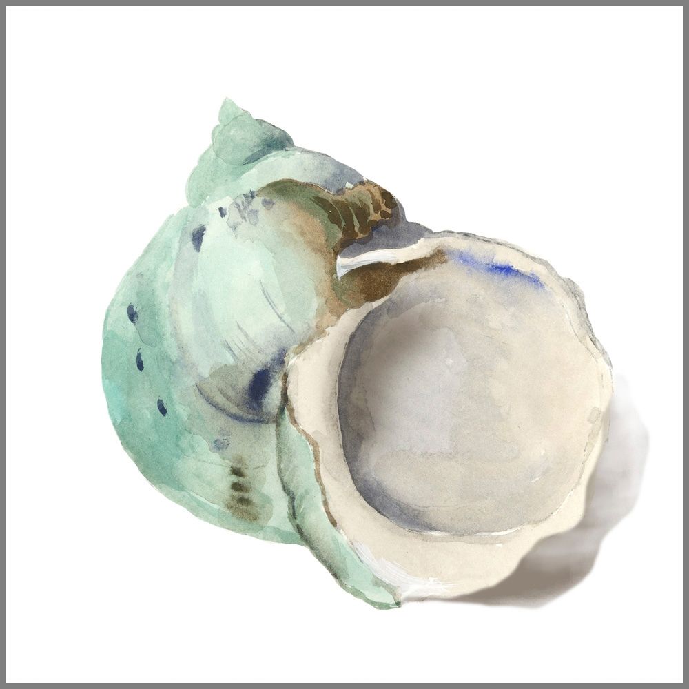 Pearl Shell art print by Aimee Wilson for $57.95 CAD