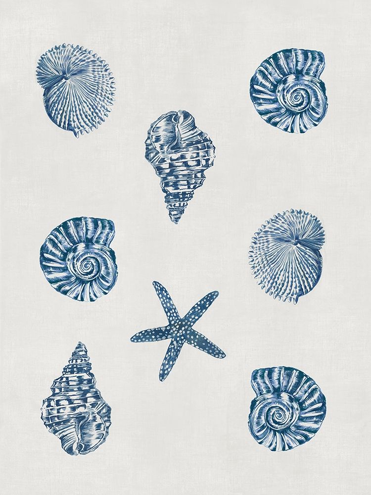 Indigo Shells art print by Aimee Wilson for $57.95 CAD