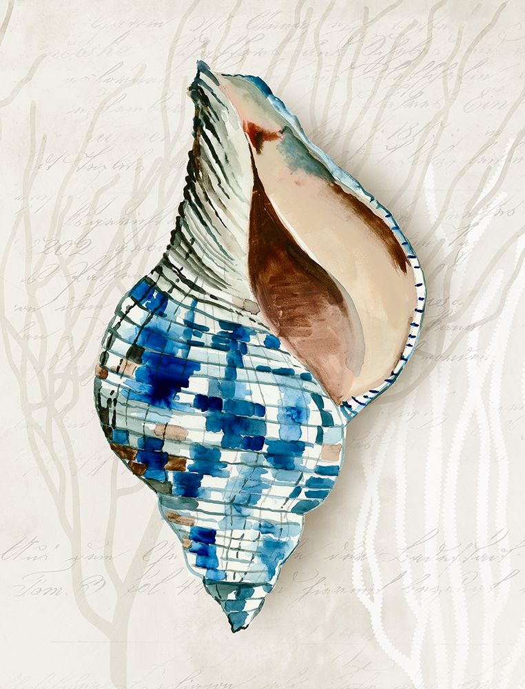Blue Shell Series II art print by Aimee Wilson for $57.95 CAD