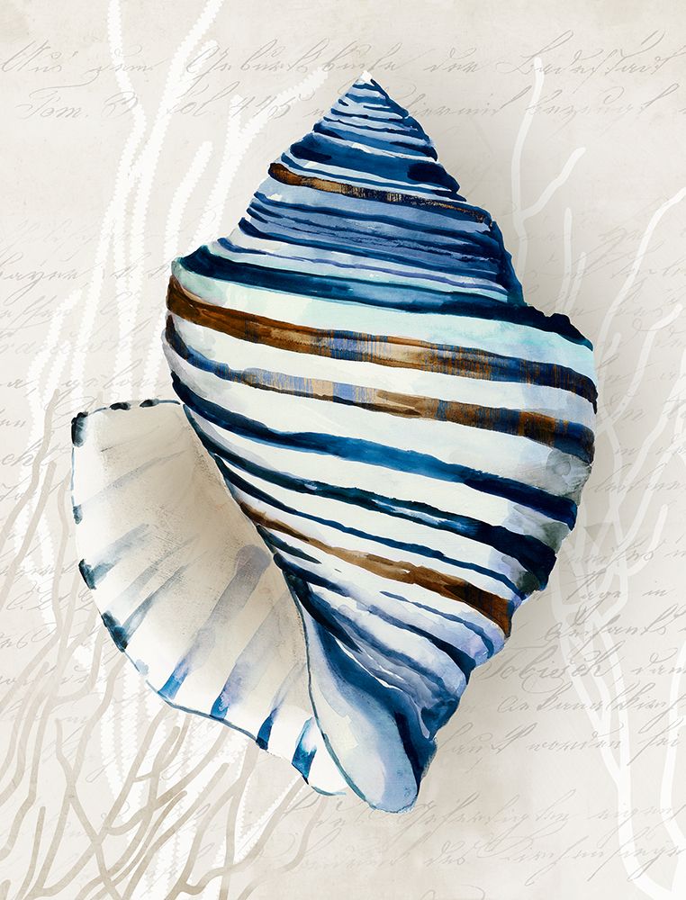 Blue Shell Series III art print by Aimee Wilson for $57.95 CAD