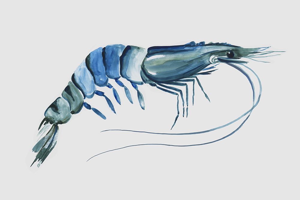 Blue Shrimp II art print by Aimee Wilson for $57.95 CAD