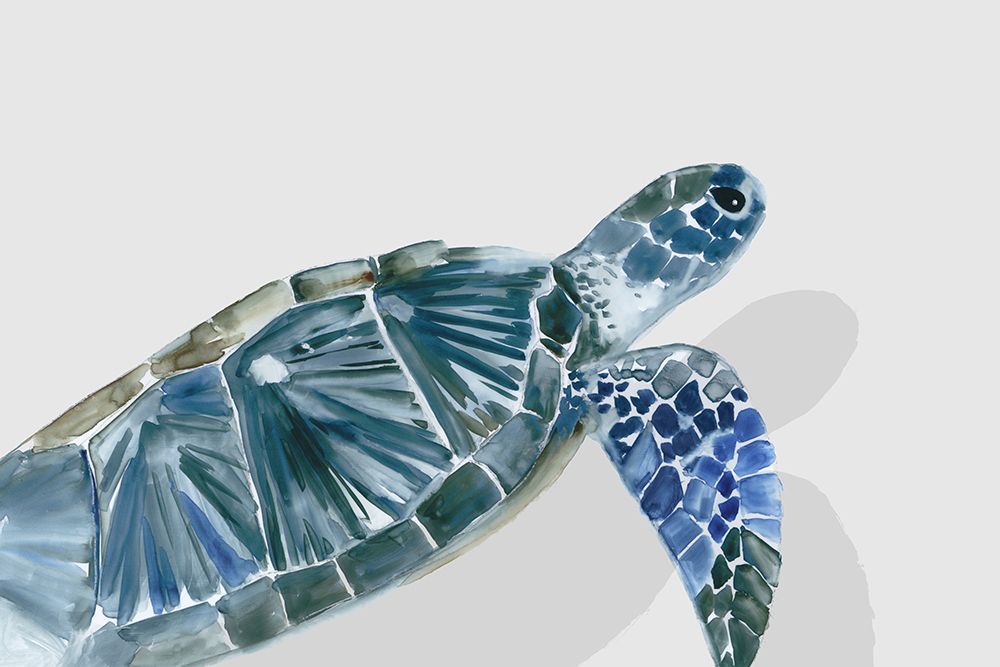 Turquoise Turtle Journey I art print by Aimee Wilson for $57.95 CAD