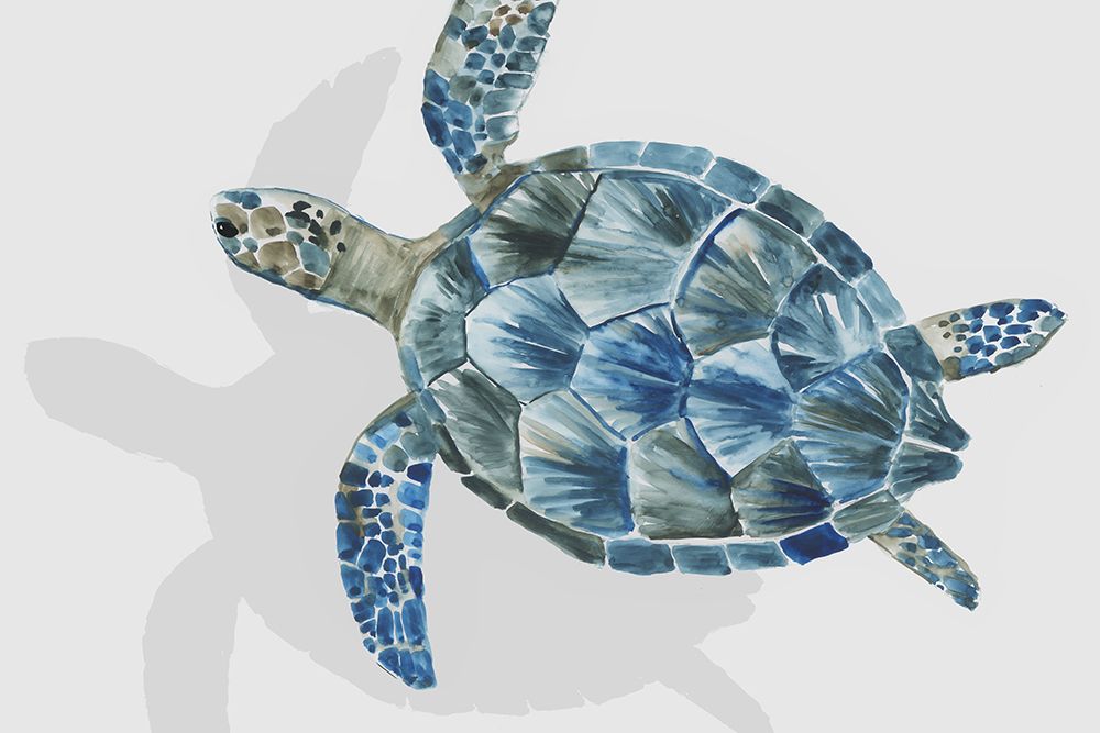 Turquoise Turtle Journey II art print by Aimee Wilson for $57.95 CAD