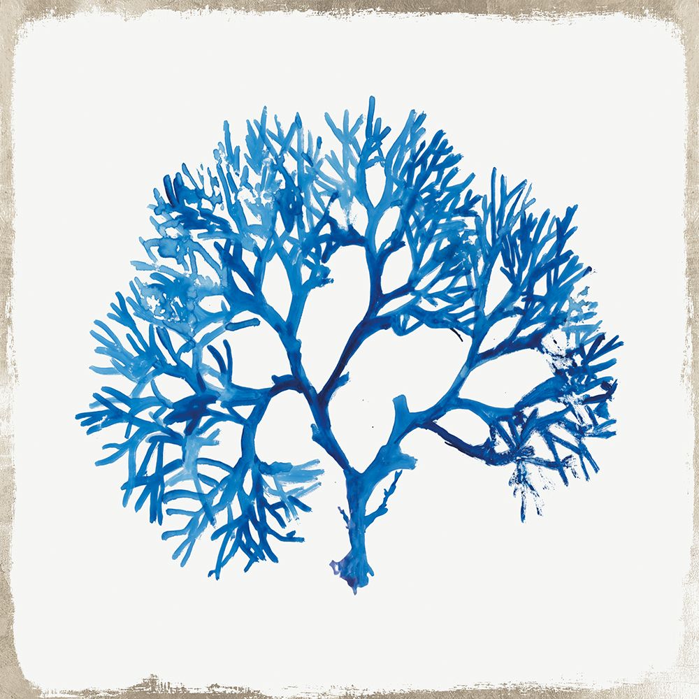 Blue Coral II art print by Aimee Wilson for $57.95 CAD