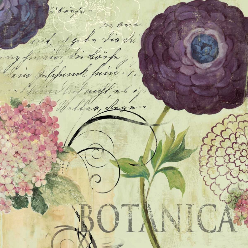 Botanica art print by Aimee Wilson for $57.95 CAD