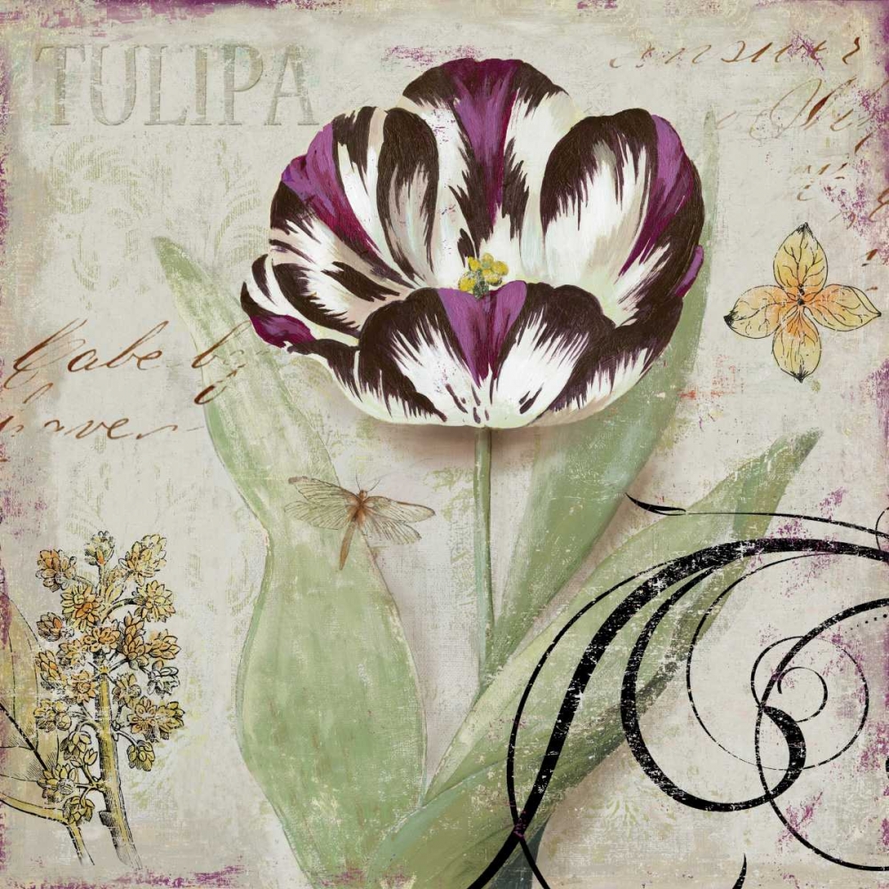 Tulipa II art print by Aimee Wilson for $57.95 CAD