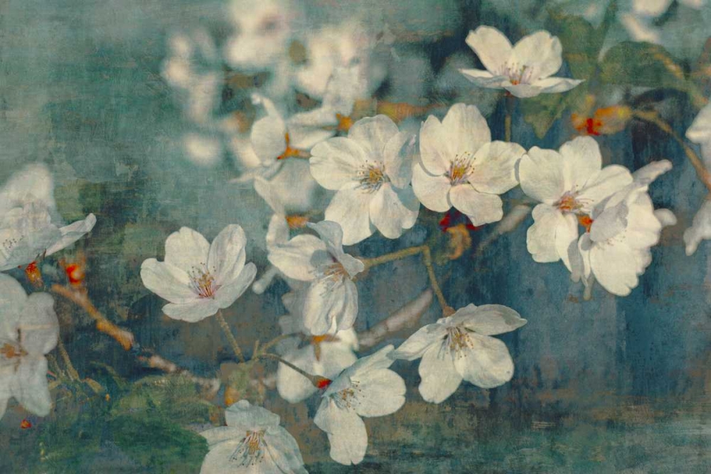 Sweet Spring I art print by William Cooke for $57.95 CAD