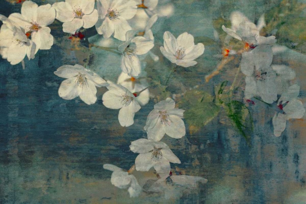 Sweet Spring II art print by William Cooke for $57.95 CAD