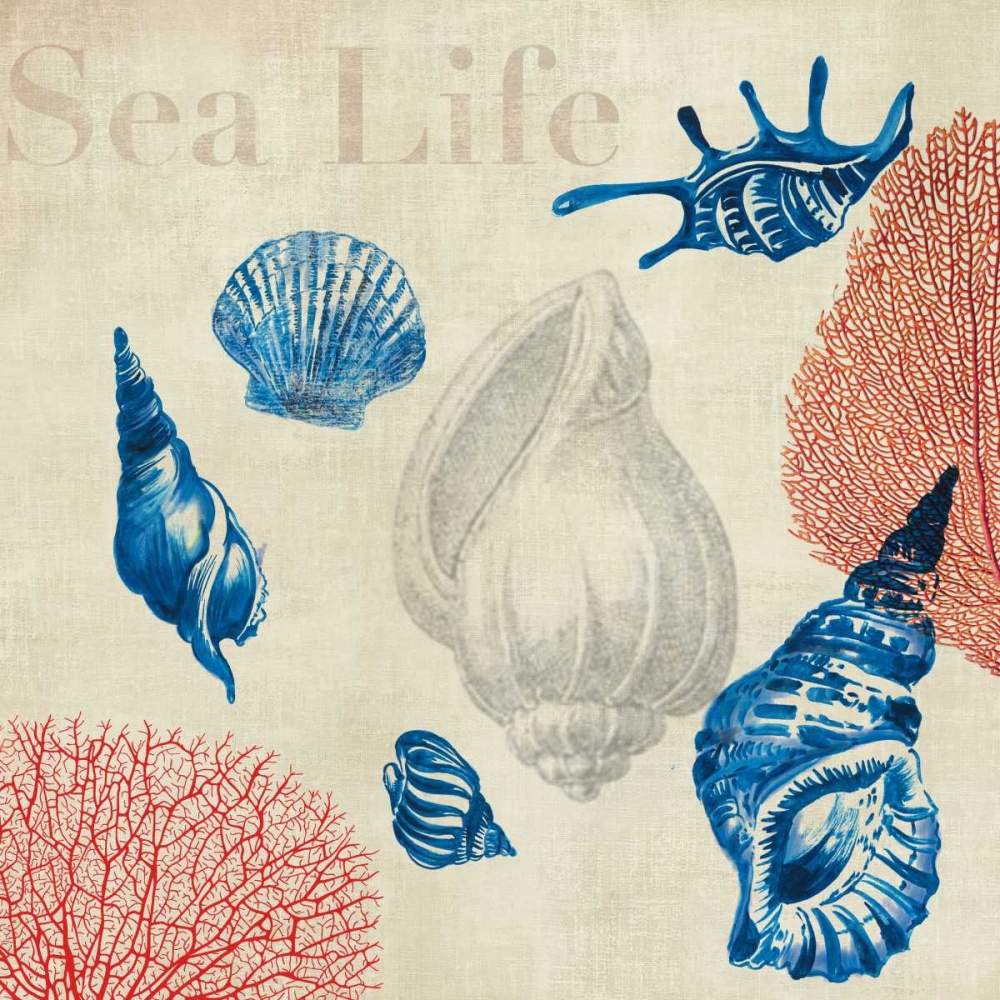 Sea Life Study art print by Aimee Wilson for $57.95 CAD