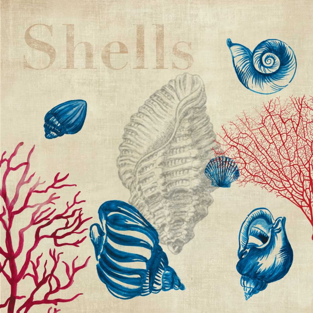 Shell Study art print by Aimee Wilson for $57.95 CAD