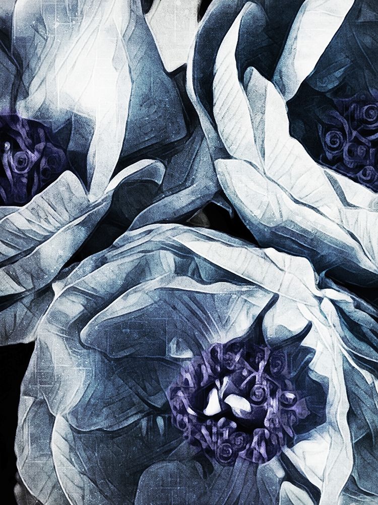 Peony Blue Petals I  art print by Ashley Aldridge for $57.95 CAD