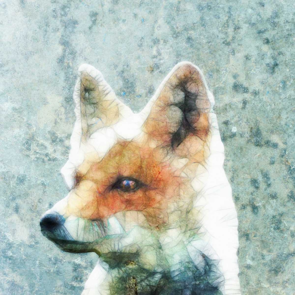 Abstract Fox art print by Ancello for $57.95 CAD