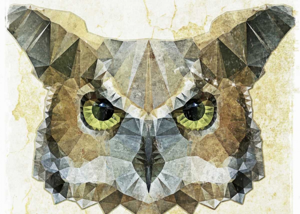Abstract Owl art print by Ancello for $57.95 CAD