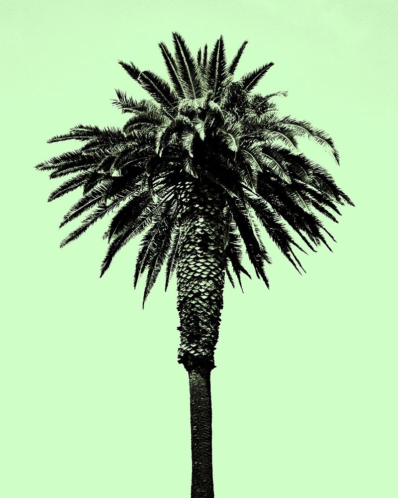 Palm Tree 1996 (Green) art print by Erik Asla for $57.95 CAD
