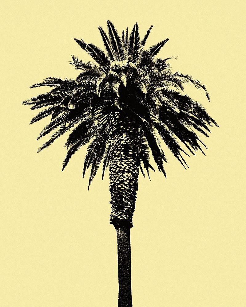 Palm Tree 1996 (Yellow) art print by Erik Asla for $57.95 CAD