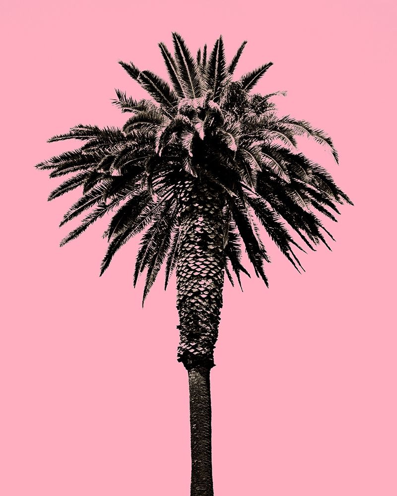 Palm Tree 1996 (Pink) art print by Erik Asla for $57.95 CAD