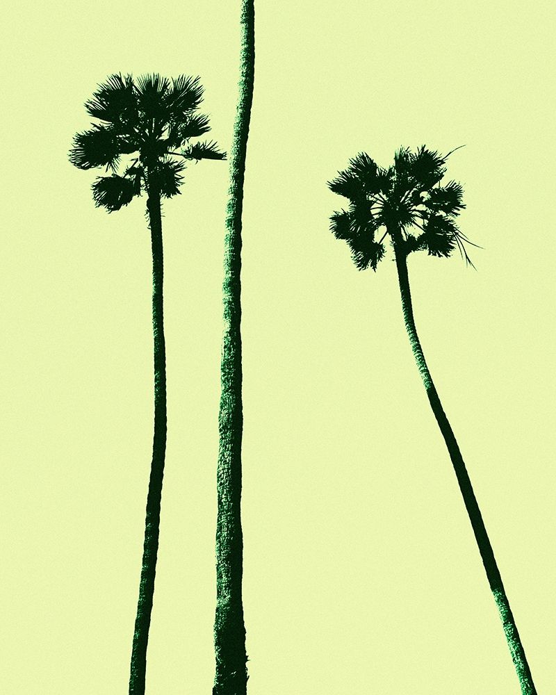 Palm Trees 2000 (Cyan) art print by Erik Asla for $57.95 CAD