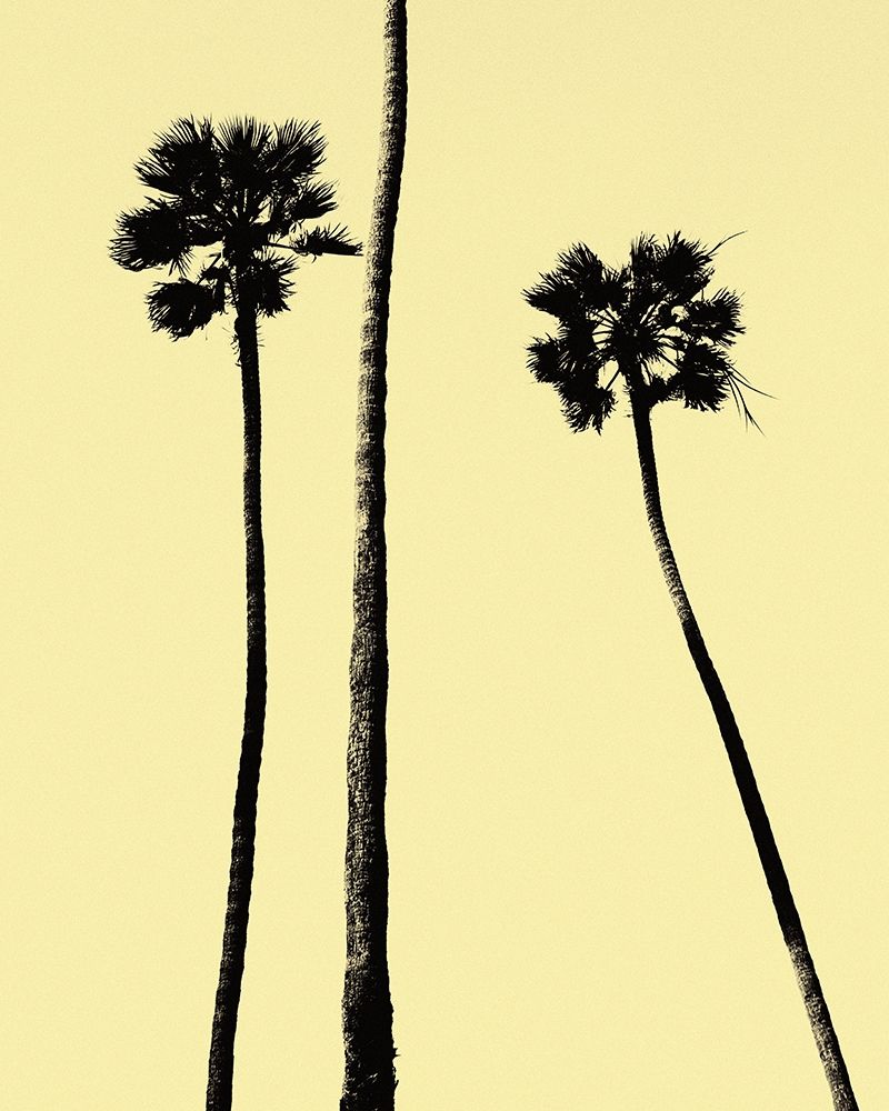 Palm Trees 2000 (Yellow) art print by Erik Asla for $57.95 CAD