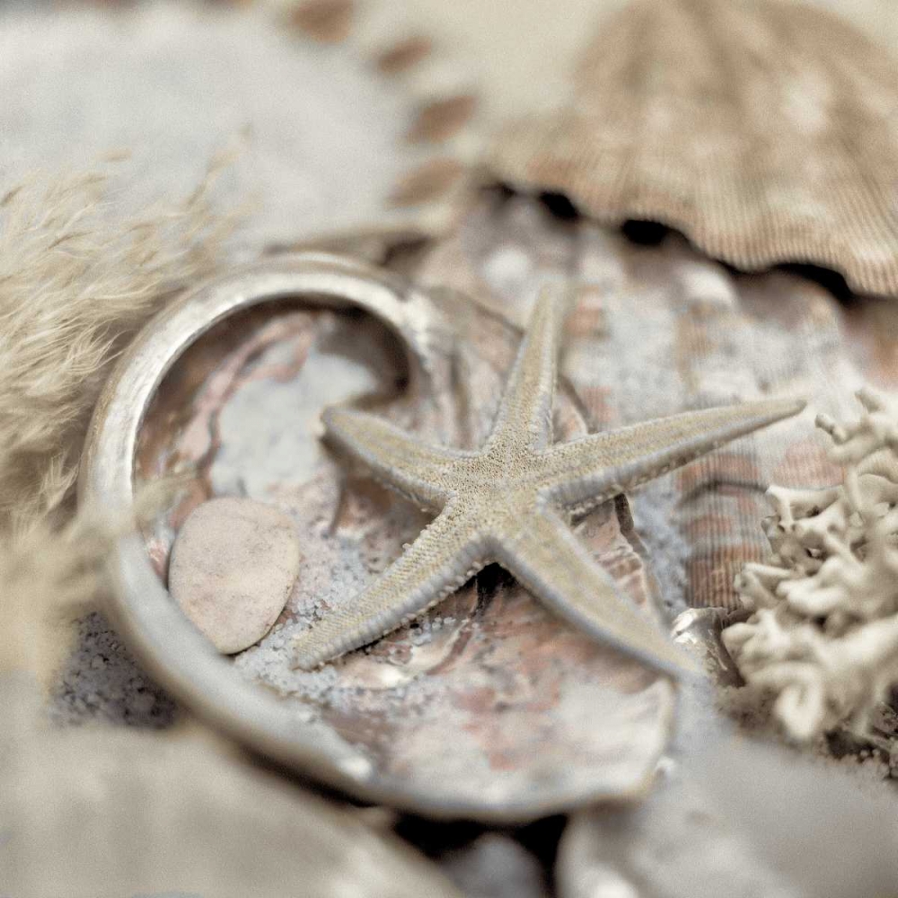 Crystal Harbor - 15 art print by Alan Blaustein for $57.95 CAD