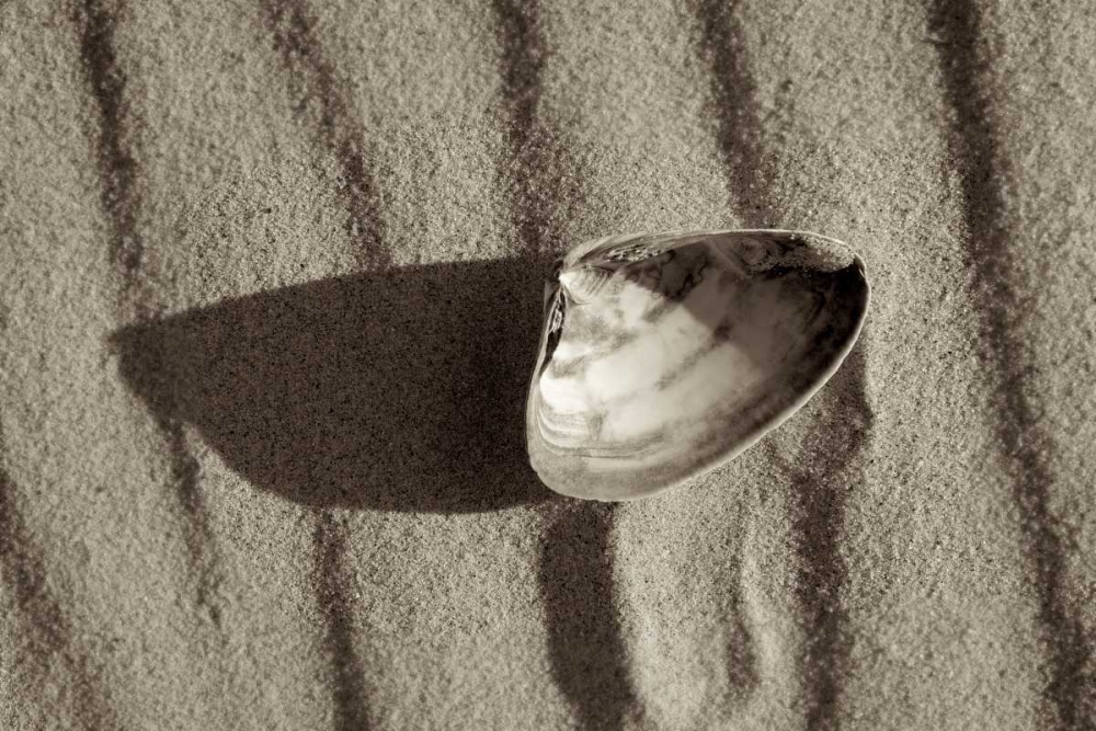 Crystal Harbor - 36 art print by Alan Blaustein for $57.95 CAD