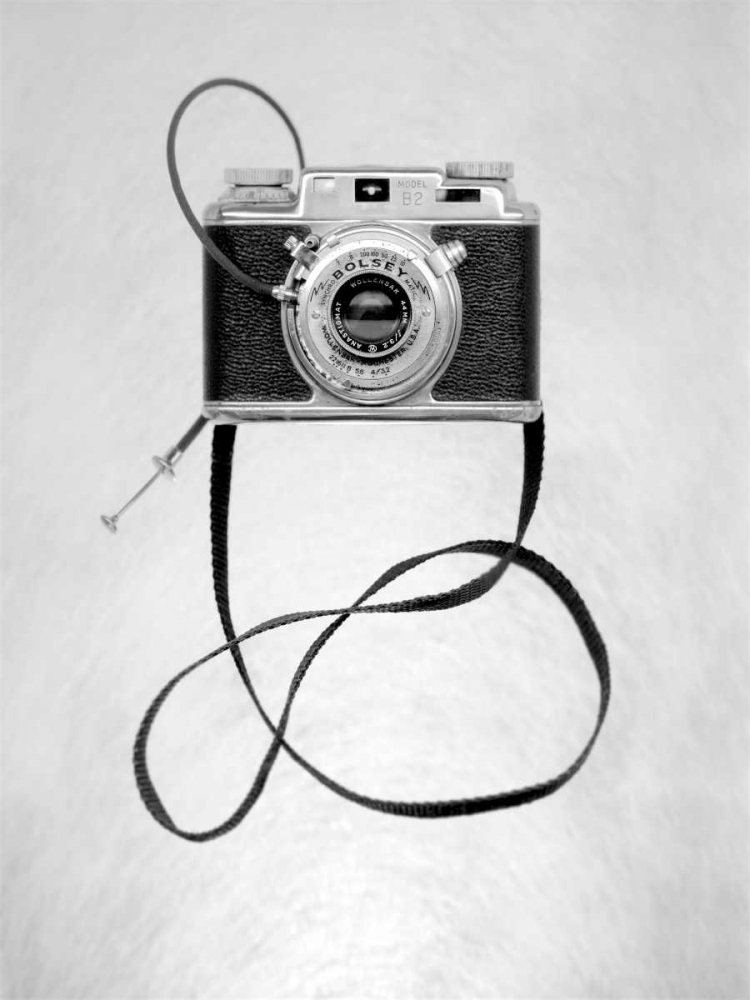 Retro Point and Shoot - 25 art print by Alan Blaustein for $57.95 CAD