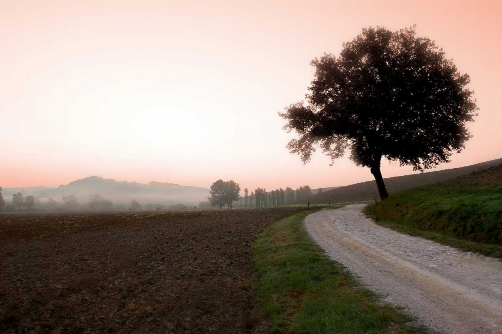 Toscana Valle No.1 art print by Alan Blaustein for $57.95 CAD