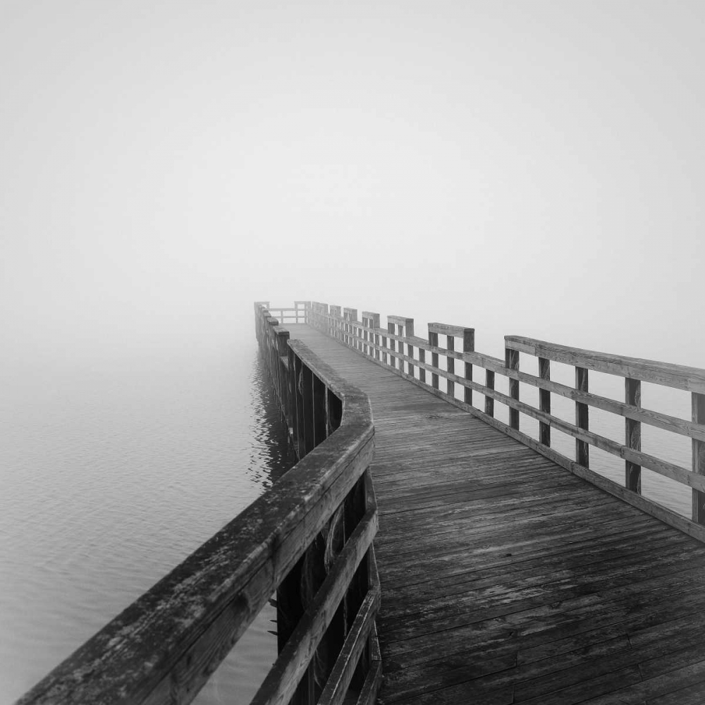 Concord Pier art print by Nicholas Bell for $57.95 CAD