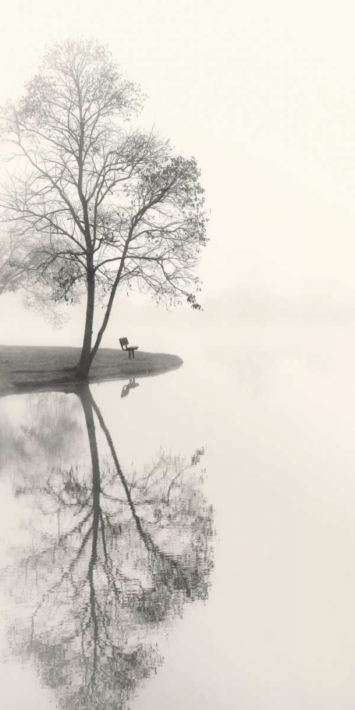 Tranquil Morning art print by Nicholas Bell for $57.95 CAD