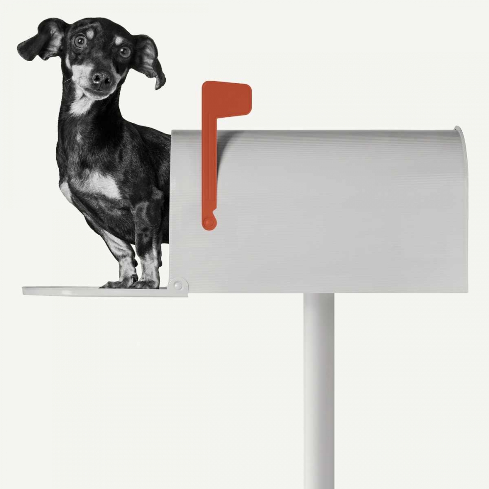 Youve Got Mail art print by Jon Bertelli for $57.95 CAD
