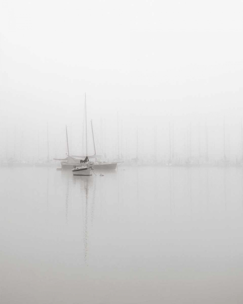 Sailboats art print by Nicholas Bell for $57.95 CAD