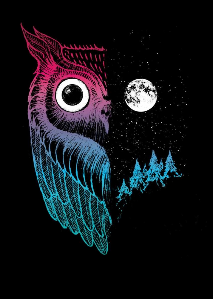 Night Owl art print by Michael Buxton for $57.95 CAD