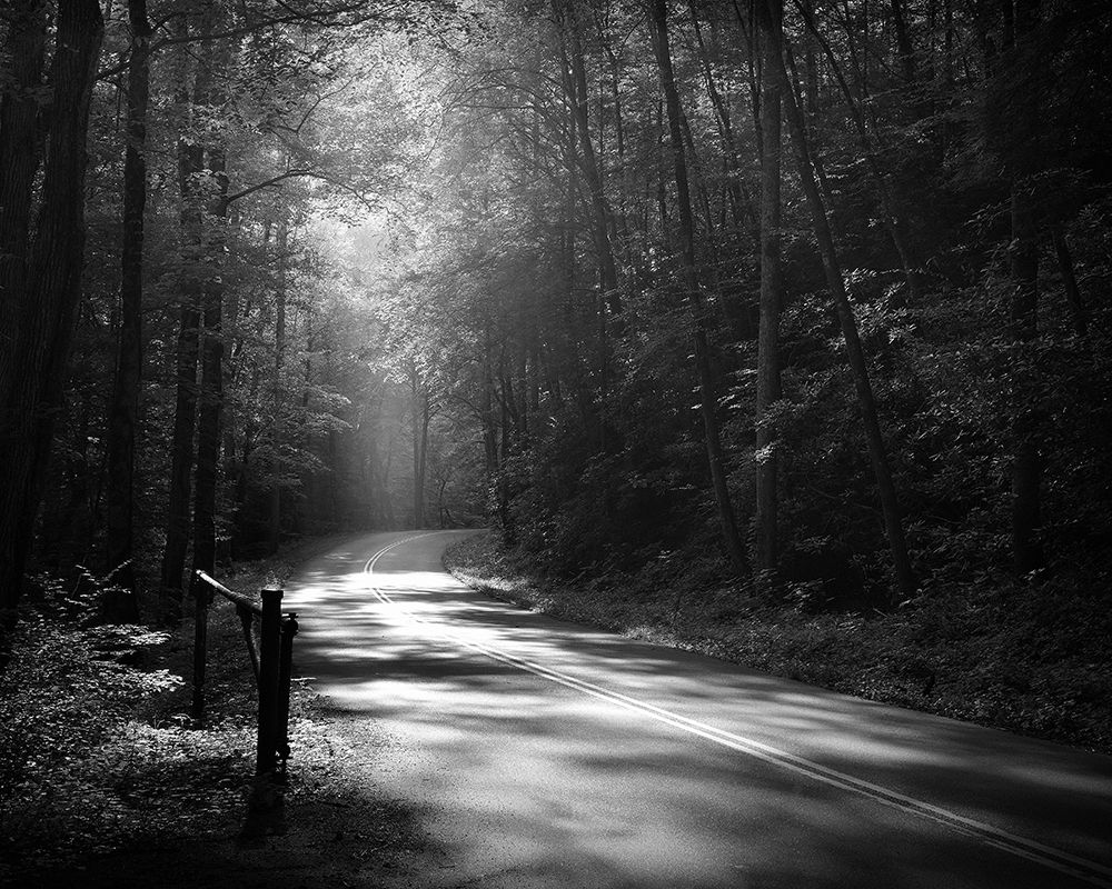Tremont Road, Smoky Mountains art print by Nicholas Bell for $57.95 CAD