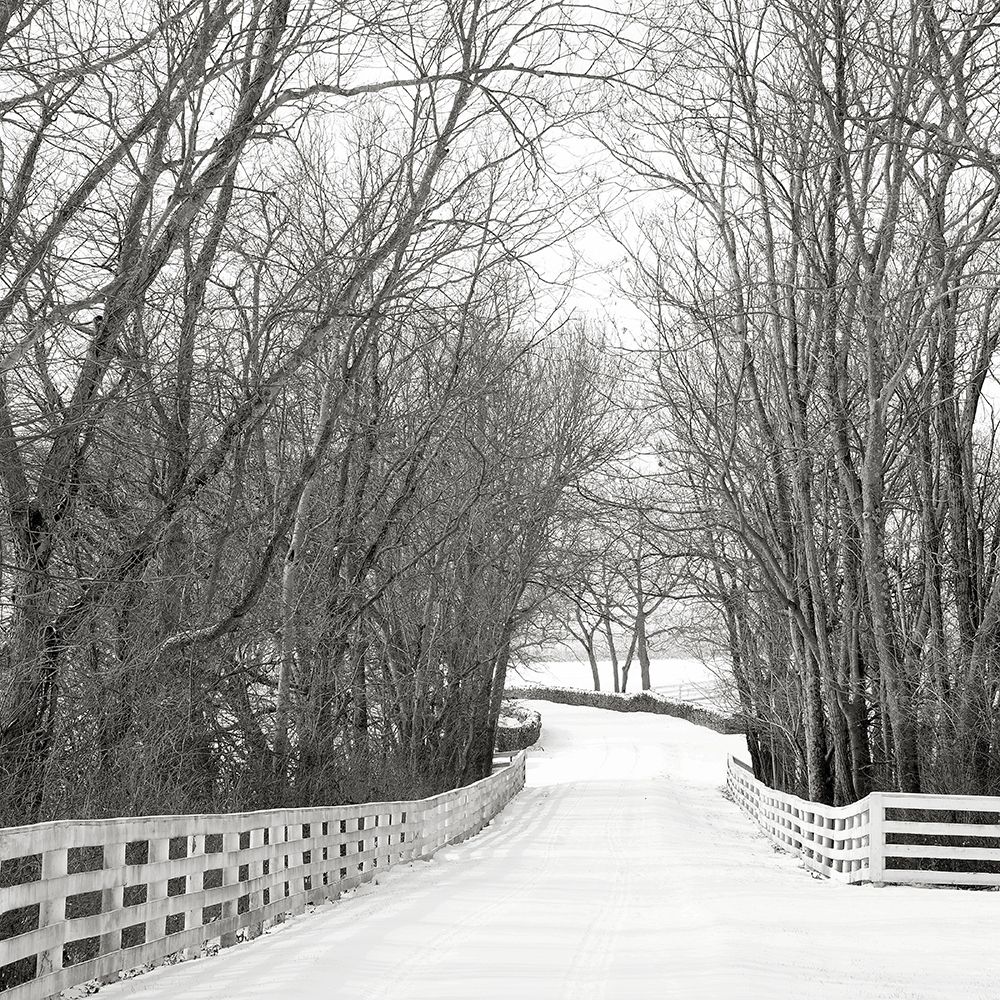 Country Lane in Winter art print by Nicholas Bell for $57.95 CAD