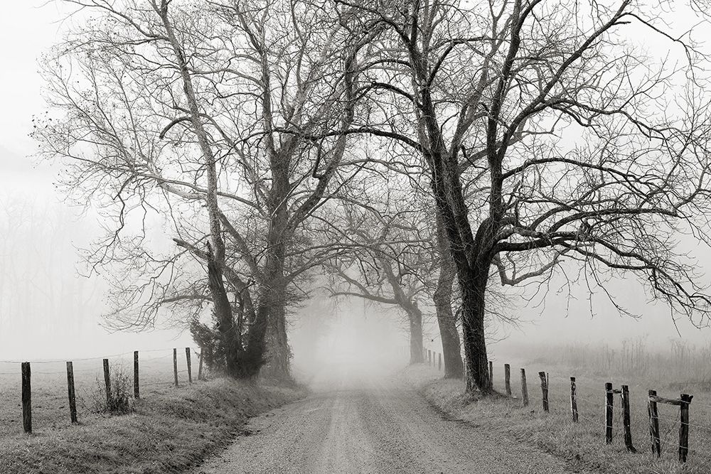 Sparks Lane, Late Autumn art print by Nicholas Bell for $57.95 CAD
